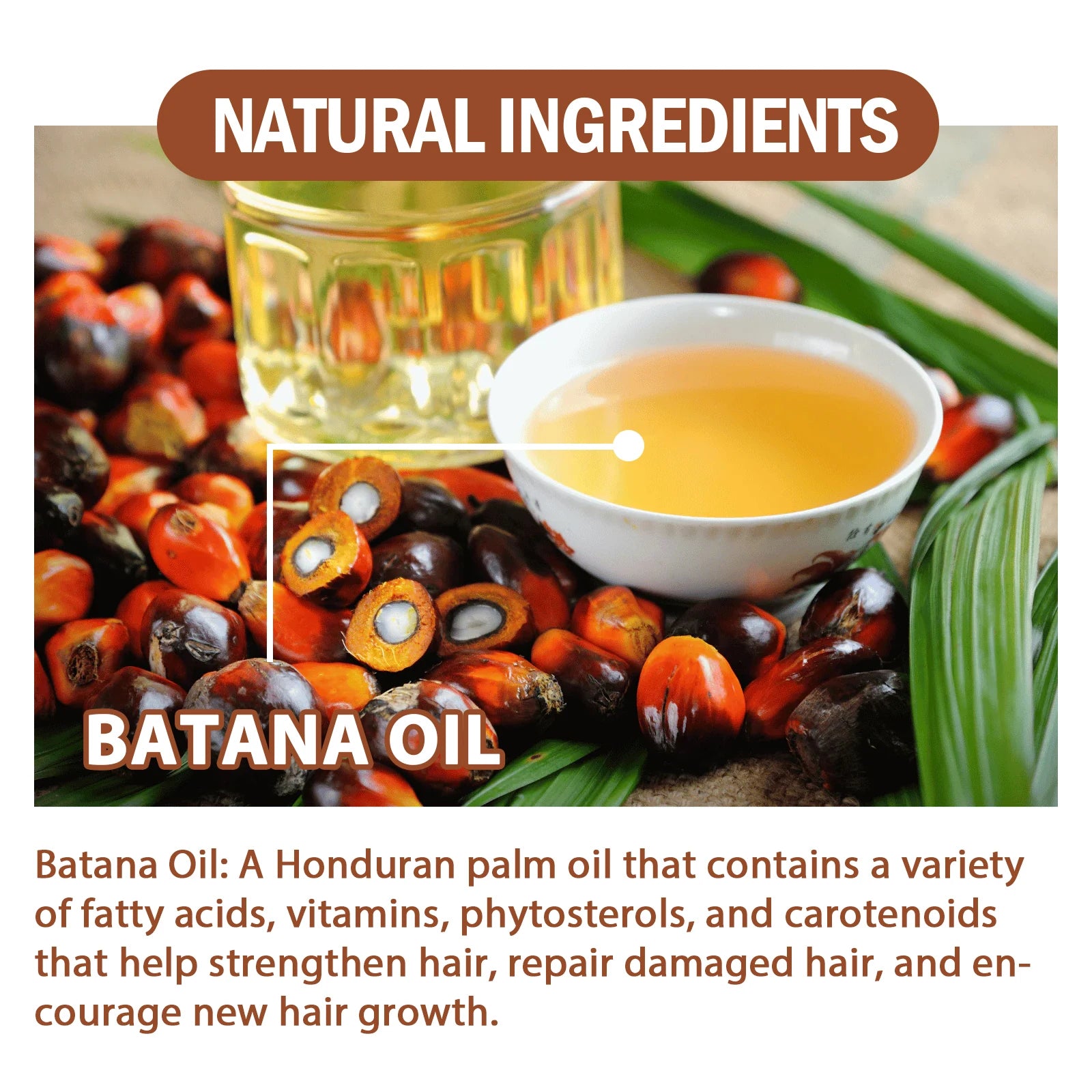 Masque Renaissance au Batana Pur : Nutrition Absolue